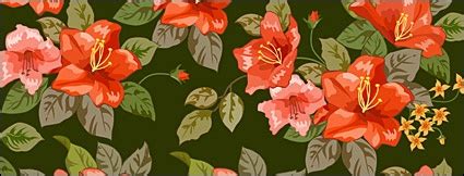 Free Vector Background Patterns 的图像结果