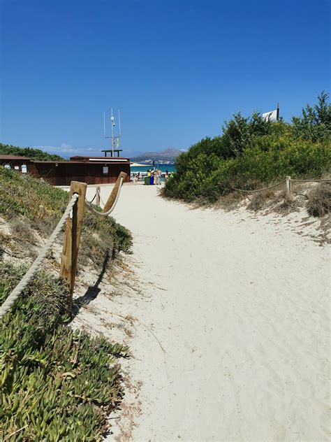 IBEROSTAR SELECTION ALBUFERA PLAYA (Playa de Muro, Majorca) - All ...