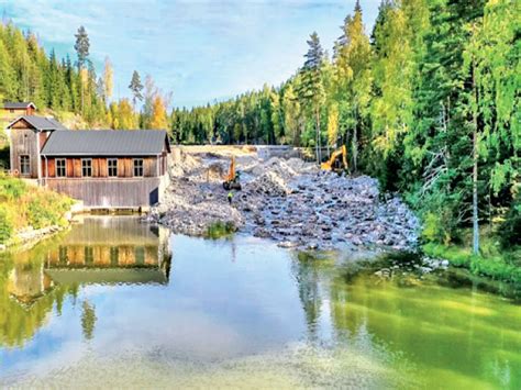 Campaign to save Europe's rivers: Extinct fish return, plants flourish ...