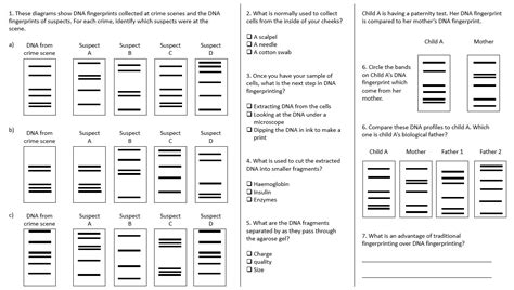 Image result for DNA Fingerprinting Lab Worksheet Printable
