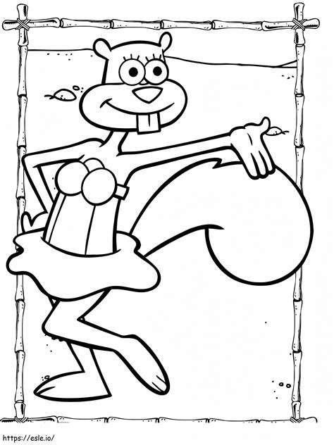 Image result for Sandy Cheeks Outline