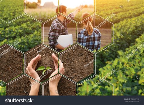 256,140 Agronomy Images, Stock Photos & Vectors | Shutterstock