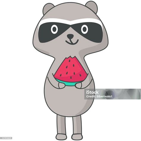 Cute Raccoon Eating Watermelon Vector Cartoon Icon Stock Illustration - Download Image Now ...