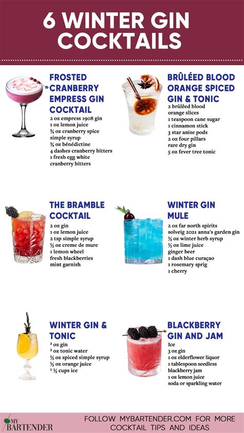 13 Best Winter Gin Cocktails to Drink This Season | Recipe | Gin ...