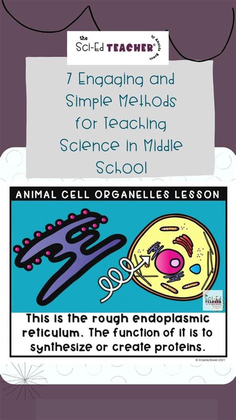 Image result for 6th Grade Science Lessons