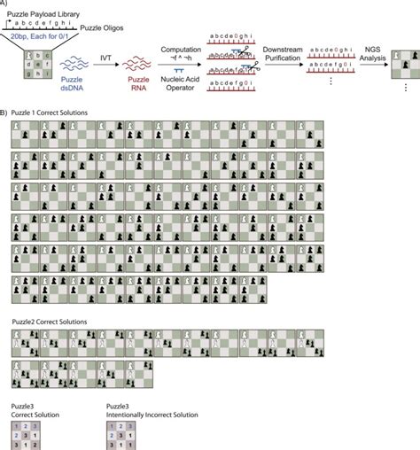 https://media.springernature.com/lw685/springer-static/esm/art%3A10.1038%2Fs41565-024-01771-6/MediaObjects/41565_2024_1771_Fig11_ESM.jpg