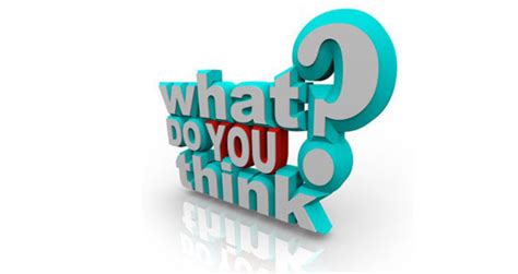 Survey on Scholarly Publishing | Stechnolock
