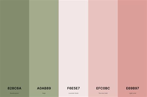 Soft Green Color Palette 25+ Best Colors That Go With Sage Green