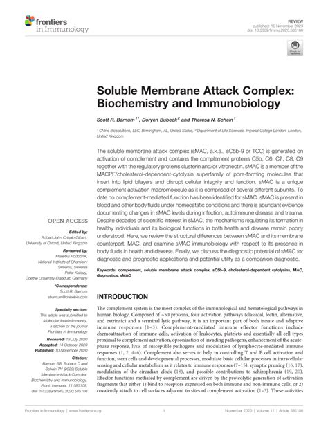 Image result for Complement Membrane Attack Complex