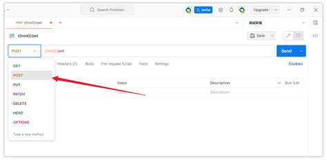 How to Send JSON File in API Automation Post Request 的图像结果