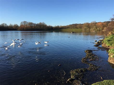 THE BEST Places to Visit in Colwick (2026) - Must-See Attractions