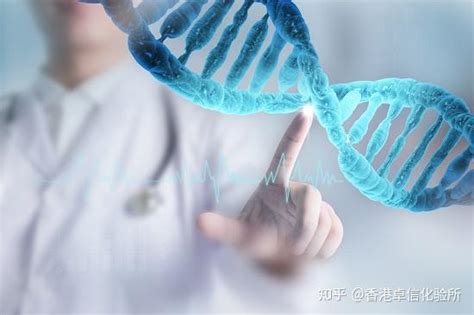 出生前可以做DNA亲子鉴定吗? - 知乎