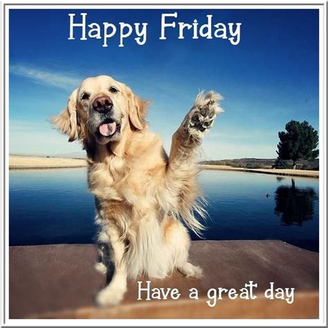 Funny Friday Pictures With Captions