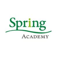 Spring Academy 的图像结果