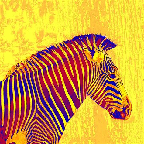 Image result for Split Complementary Colors Examples