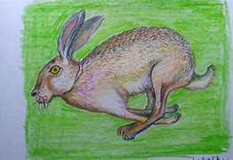 Image result for Victorian Easter Bunny Drawing Ink