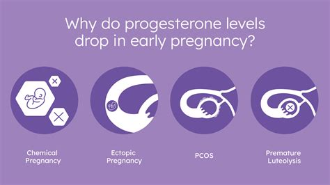 Progesterone Levels In Early Pregnancy