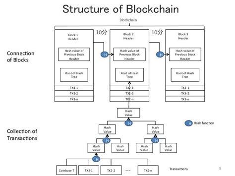 Data Structure Of Blockchain 的图像结果