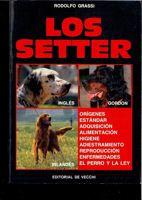 Setter, Los : Amazon.in: Books