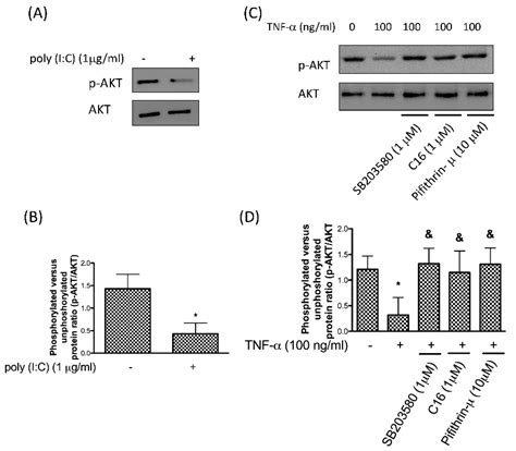 PKR Promotes Oxidative Stress and Apoptosis of Human Articular ...