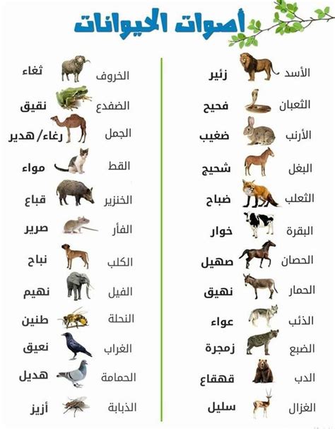 Image result for HTML Text Alignment Tool