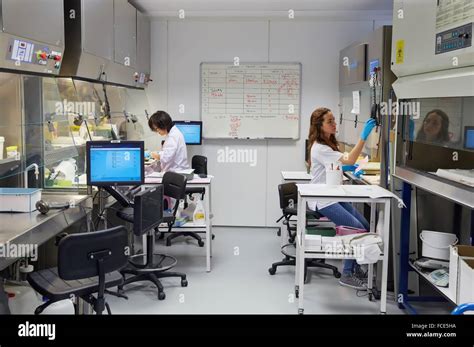 Image result for Tissue Sample during Surgery