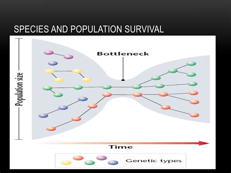 Biodiversity 的图像结果