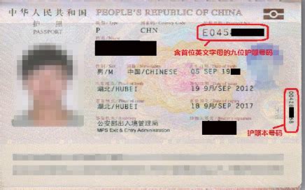 中国护照号码查询系统_百度知道