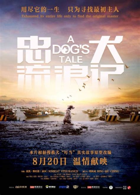 中国版“忠犬八公” 电影《忠犬流浪记》定档8月20日_新闻速递_电影界