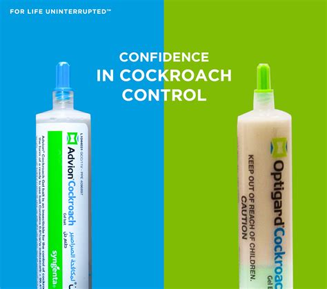 Rotate baits for effective German cockroach control | Syngenta
