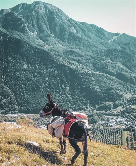 Lapland: Where Is It? Discover This Mythical Arctic Region!