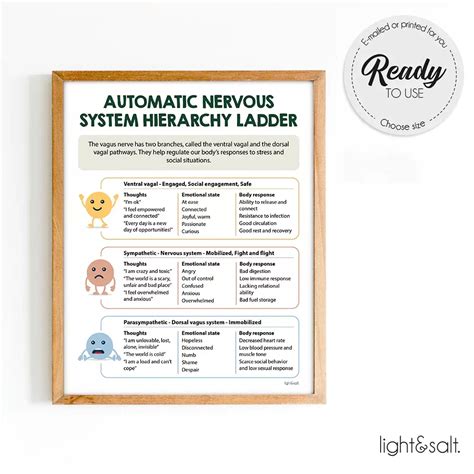 Image result for Autonomic Ladder