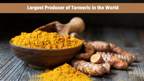 Which Country is the Largest Producer of Turmeric in the World?