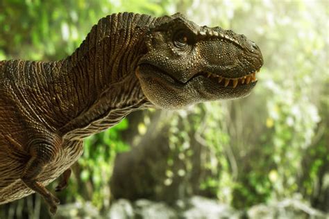 Image result for Dinosaur Using Computer Picture