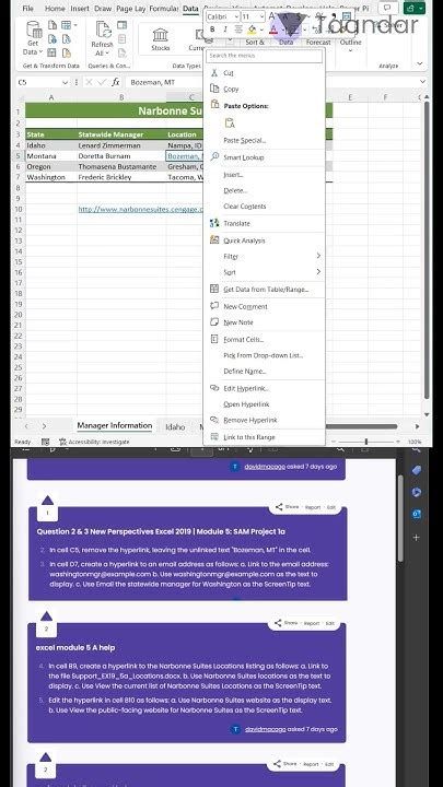 Image result for Excel Module 2 Sam Textbook Project