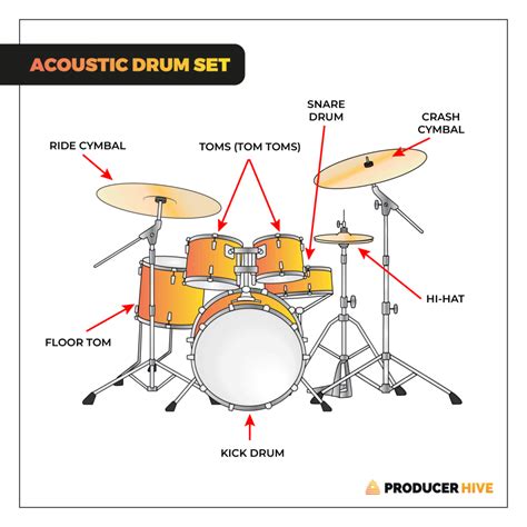 The Ultimate Guide To ALL Types Of Drums & Percussion