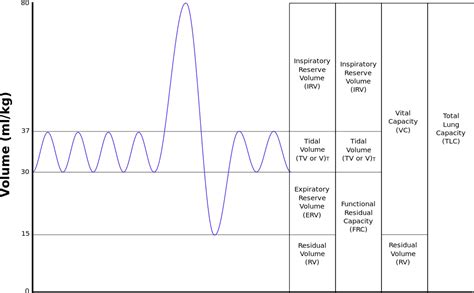 Spirometry Normal Values Chart 的图像结果