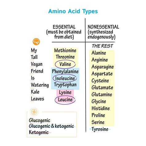 Kinds Of Acid