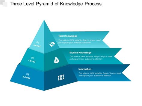 Image result for Pyramid of Knowledge