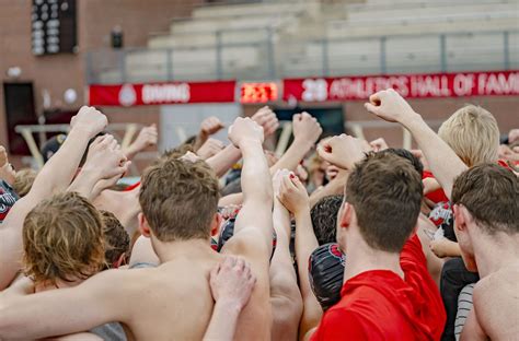 Swim and Dive Team 的图像结果