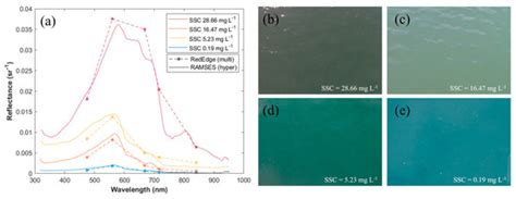 Suspended Sediment Concentration Estimation along Turbid Water Outflow ...