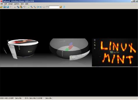 Image result for IrfanView Transparent Image