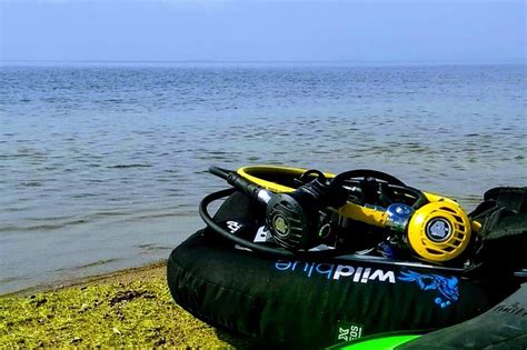 WILD BLUE DIVING (2026) All You Need to Know BEFORE You Go (with Photos ...