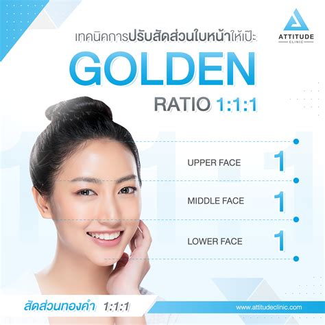 ?เทคนิคการปรับสัดส่วนใบหน้าให้สวย เป๊ะ แบบ Golden Ratio 1:1:1 (สัดส่วน ...
