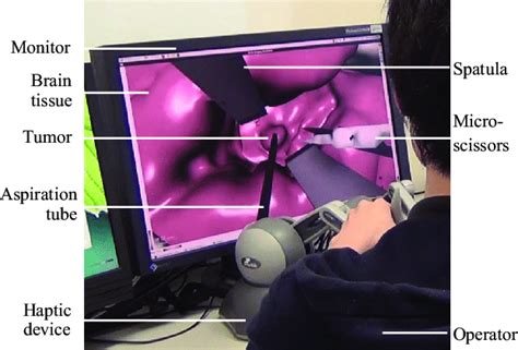 Image result for Real Brain Surgery Simulator