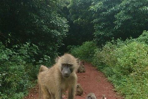 ZANBEST TOURS AND SAFARIS (2026) All You Need to Know BEFORE You Go ...