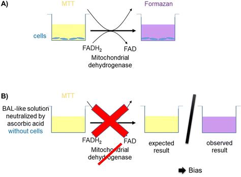 Image result for Biological Classification Question Rashmita Sing