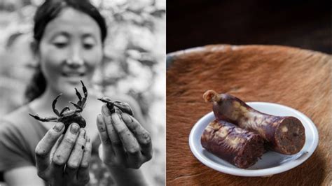 Hunting for mud crabs and cooking blood sausages in Sikkim | Condé Nast ...