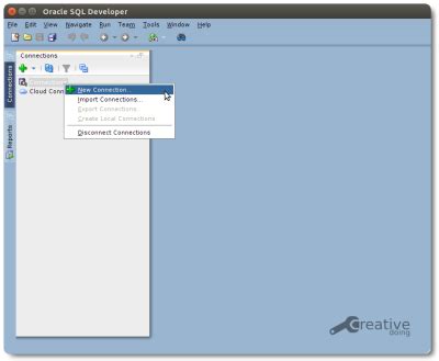 Image result for SQL Developer Connection String