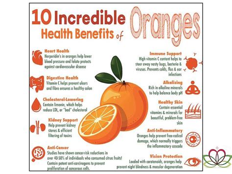 Organic Oranges Health Benefits at Jennifer Felder blog